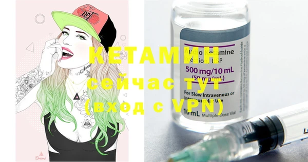 шишки Туринск