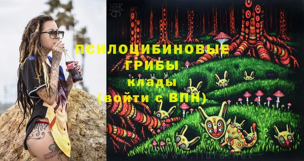 мяу мяу кристалл Бородино