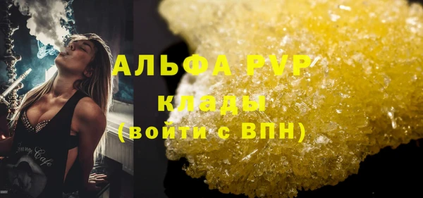 гидра Тында