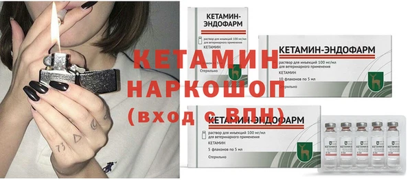 гидра Тында