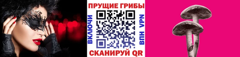 Псилоцибиновые грибы прущие грибы  MEGA как зайти  Дзержинский 